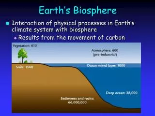 Earth’s Biosphere