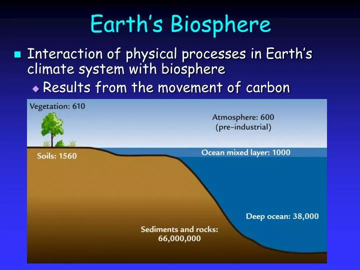 earth s biosphere