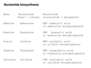 Nucleotide biosynthesis