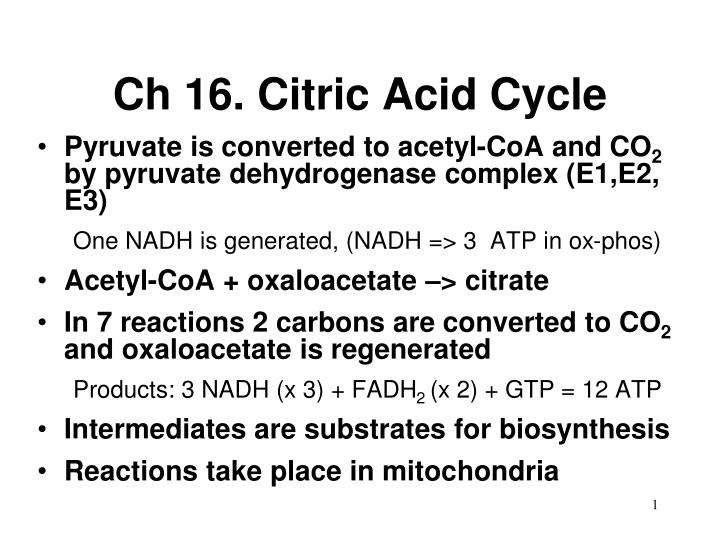 ch 16 citric acid cycle