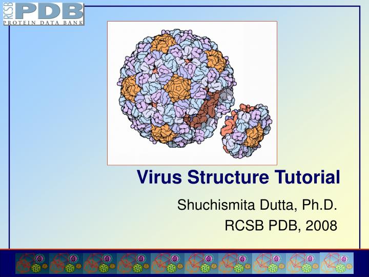 virus structure tutorial