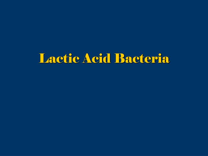 lactic acid bacteria