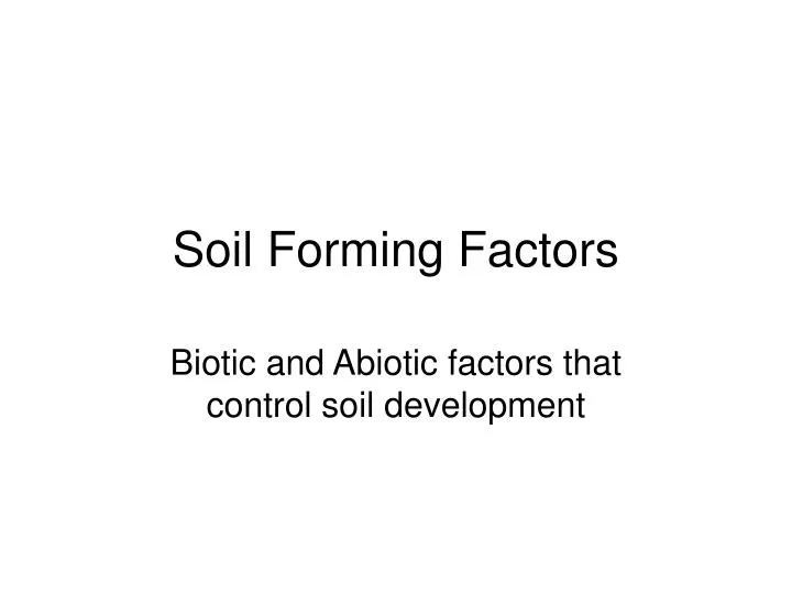 soil forming factors