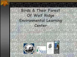 Birds &amp; Their Forest Of Wolf Ridge Environmental Learning Center