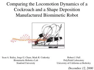 Comparing the Locomotion Dynamics of a Cockroach and a Shape Deposition Manufactured Biomimetic Robot