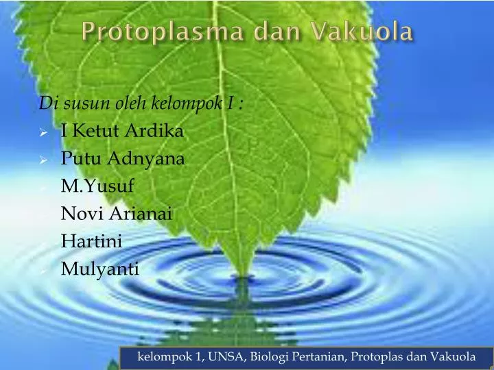 protoplasma dan vakuola