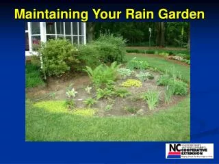 Maintaining Your Rain Garden