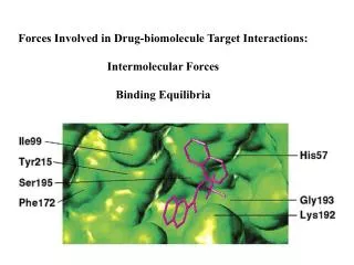 Forces Involved in Drug-biomolecule Target Interactions: Intermolecular Forces Binding Equilibria