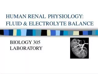 HUMAN RENAL PHYSIOLOGY: FLUID &amp; ELECTROLYTE BALANCE