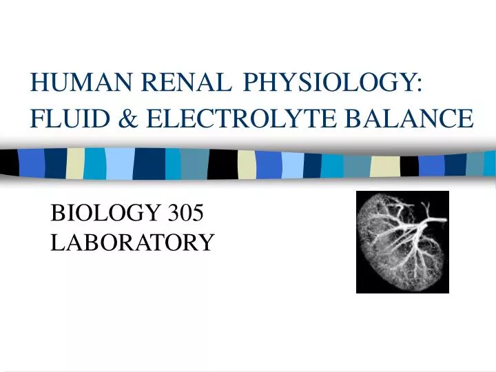 human renal physiology fluid electrolyte balance