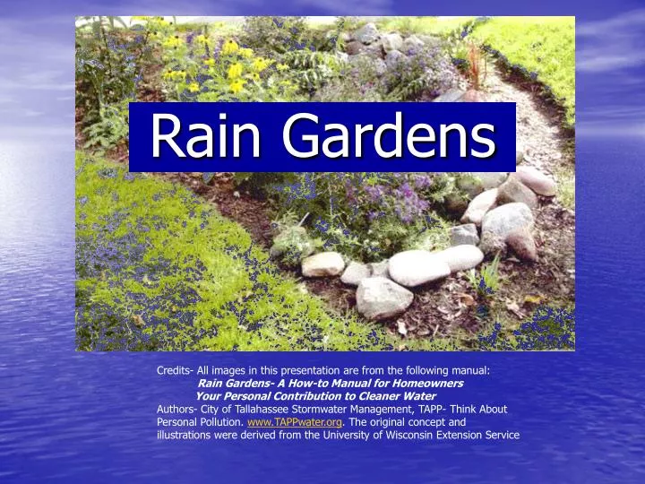 rain gardens