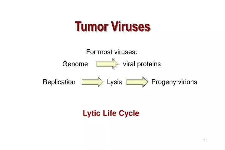 tumor viruses
