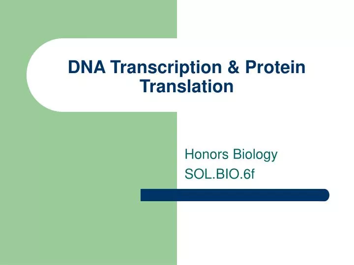 dna transcription protein translation