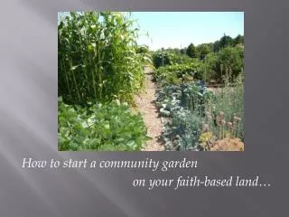 How to start a community garden 					on your faith-based land…