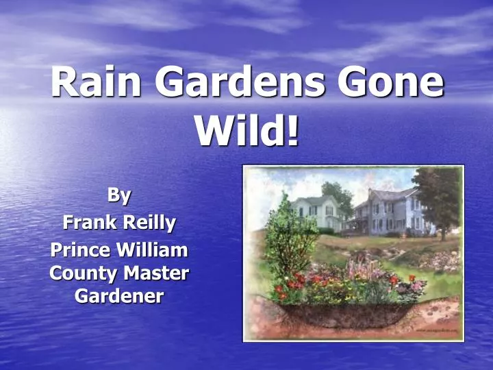 rain gardens gone wild
