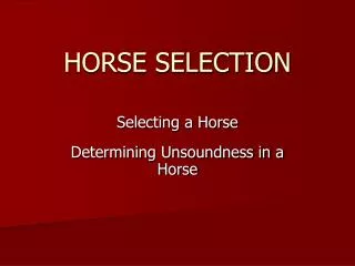 HORSE SELECTION