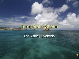 Temperate Ocean