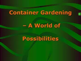 Container Gardening – A World of Possibilities