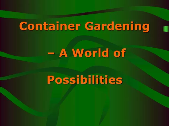 container gardening a world of possibilities