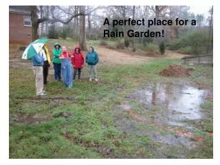 A perfect place for a Rain Garden!