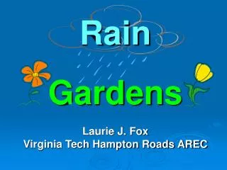 Rain Gardens Laurie J. Fox Virginia Tech Hampton Roads AREC