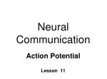 Neural Communication - slide 1