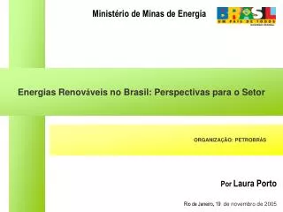 Energias Renov á veis no Brasil: Perspectivas para o Setor