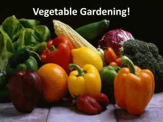 Vegetable Gardening!