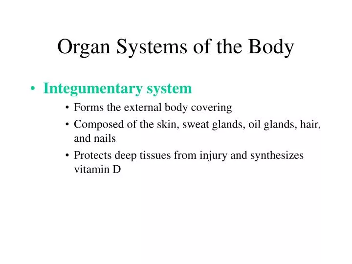 organ systems of the body