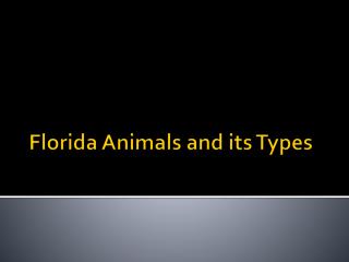 Florida Animals and its types