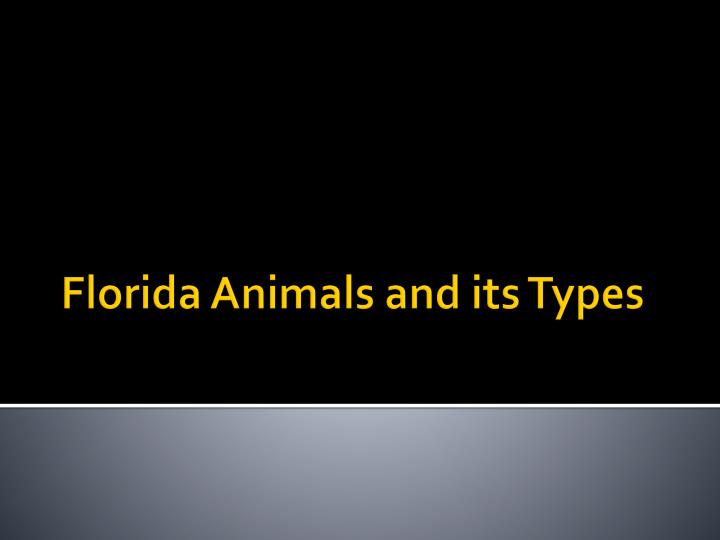 florida animals and its types