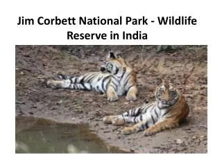 Jim Corbett National Park - Wildlife Reserve in India