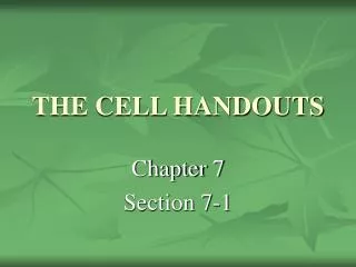THE CELL HANDOUTS