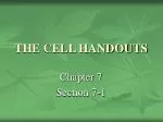 THE CELL HANDOUTS - slide 1