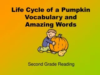 Life Cycle of a Pumpkin Vocabulary and Amazing Words