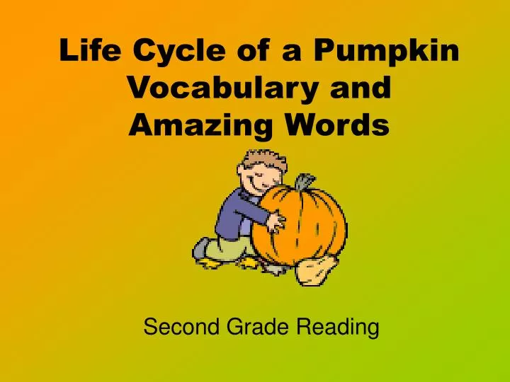 life cycle of a pumpkin vocabulary and amazing words