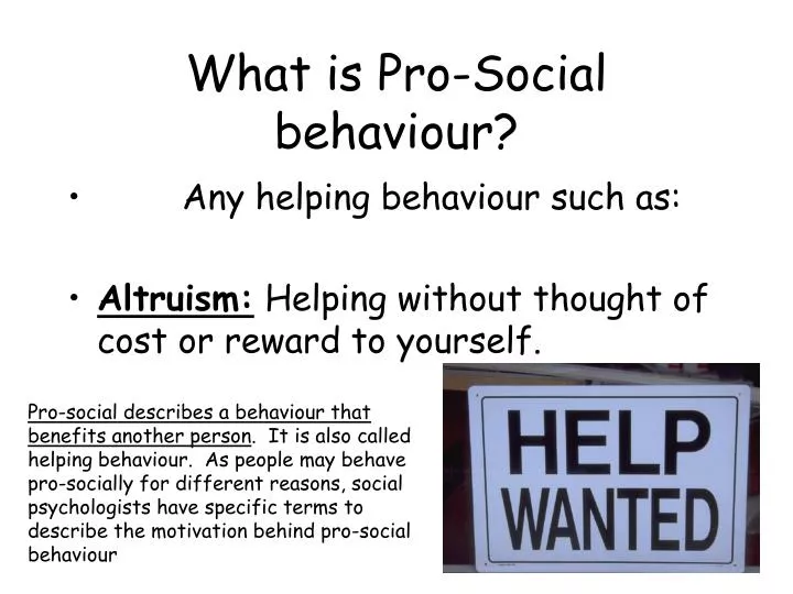 what is pro social behaviour