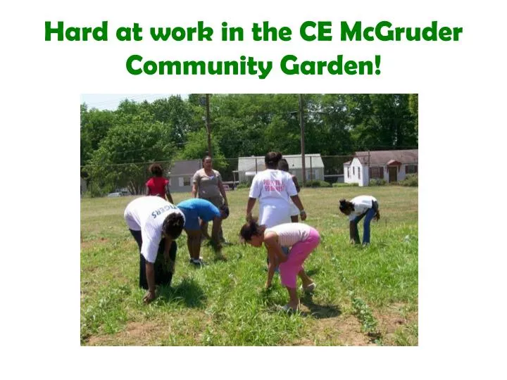 hard at work in the ce mcgruder community garden