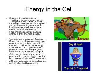 Energy in the Cell