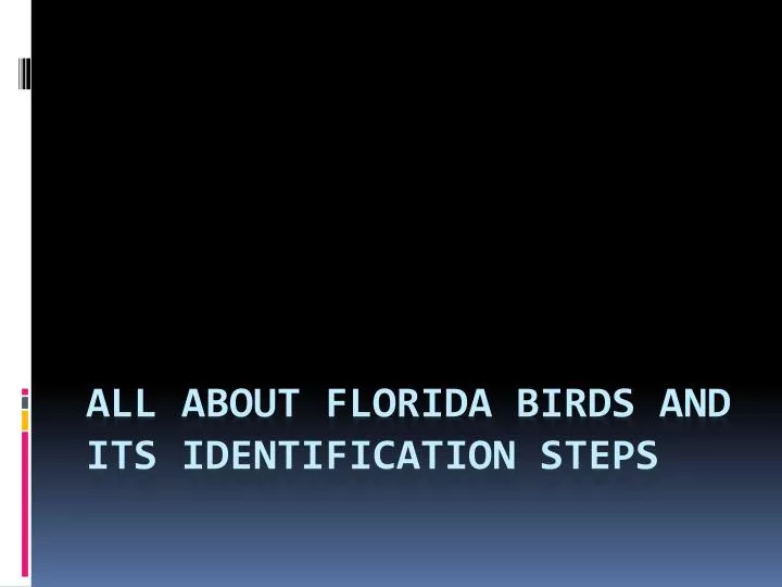 all about florida birds and its identification steps