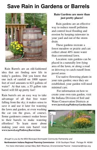 Save Rain in Gardens or Barrels