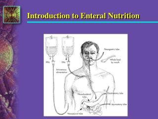 Introduction to Enteral Nutrition