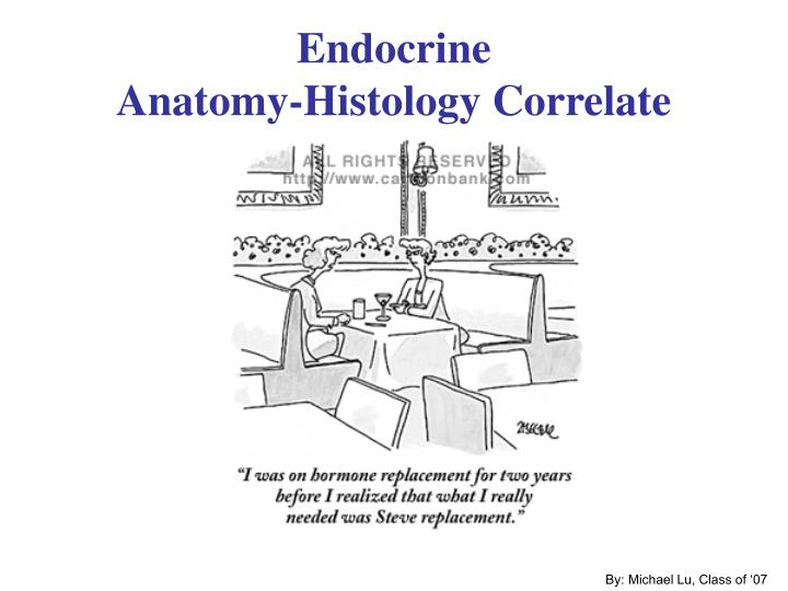 endocrine anatomy histology correlate