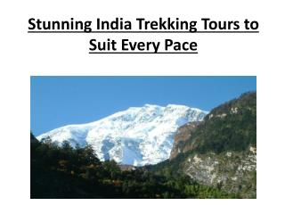 Stunning India Trekking Tours to Suit Every Pace