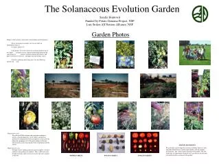 The Solanaceous Evolution Garden