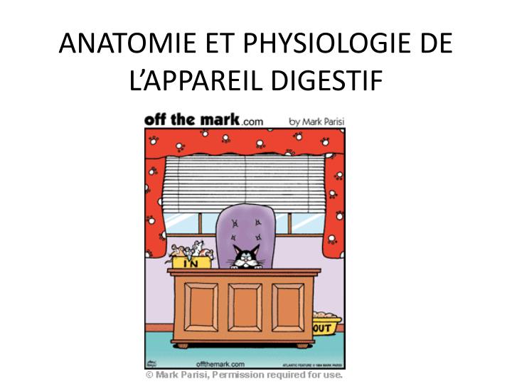 anatomie et physiologie de l appareil digestif