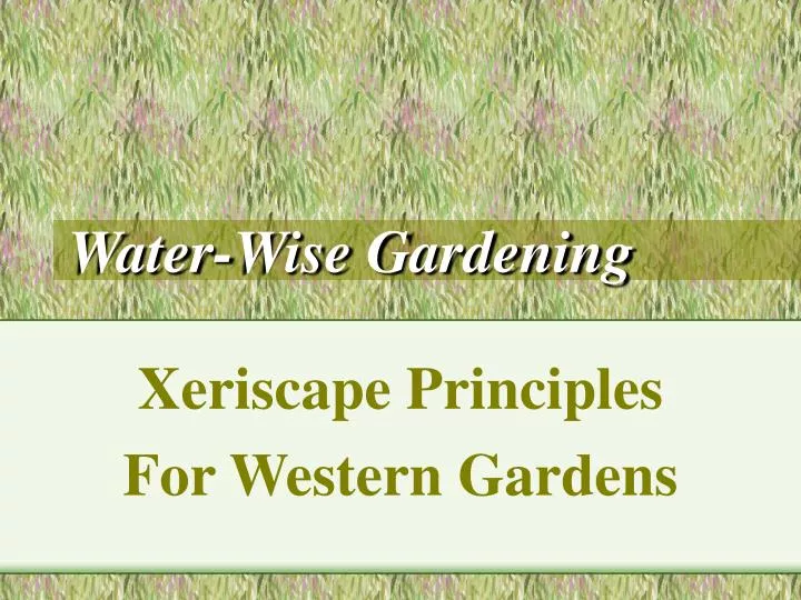 water wise gardening