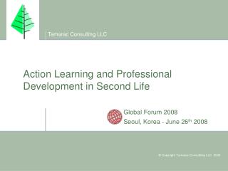 Action Learning and Professional Development in Second Life
