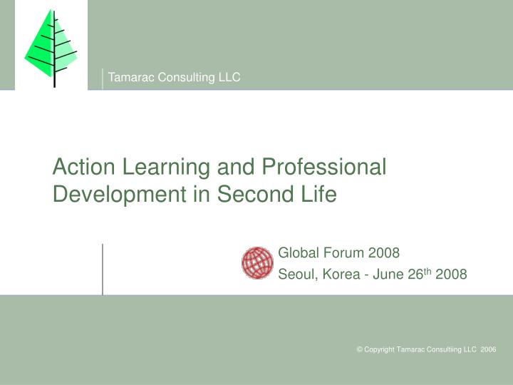 action learning and professional development in second life