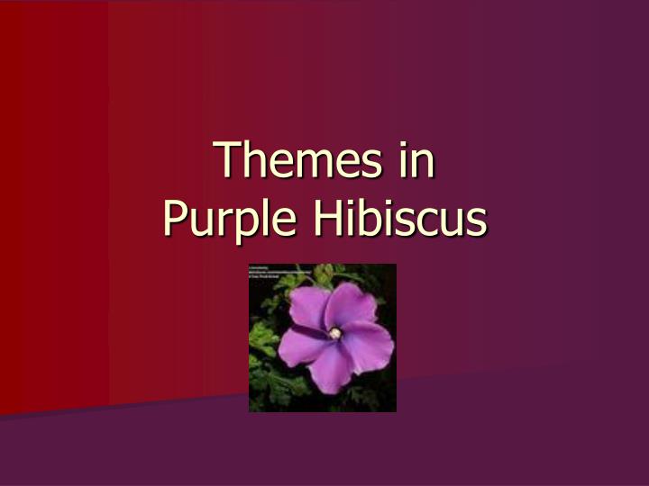 themes in purple hibiscus